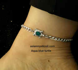 15Turtle.jpg (348681 bytes)