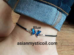 4Blue S.B.fly.jpg (474426 bytes)